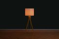 Photo Scandinavian floor lamp